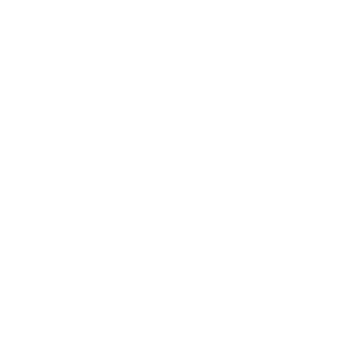 Controller & CFO Advisory